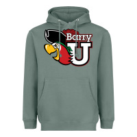 Sage barry Heavyweight Hoodie - linhVisuals