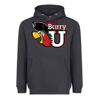 Smoke barry Heavyweight Hoodie - linhVisuals
