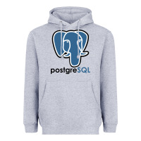 Heather Grey Postgresql Heavyweight Hoodie - linhVisuals