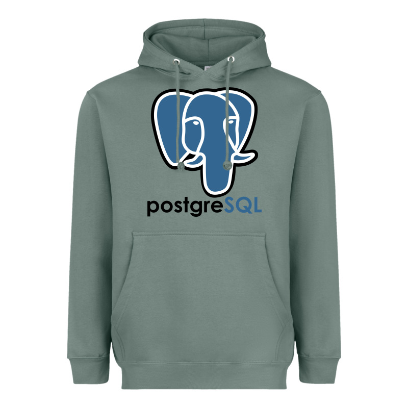 Postgresql Heavyweight Hoodie by linhVisuals | Teevron