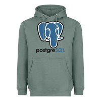 Sage Postgresql Heavyweight Hoodie - linhVisuals