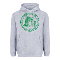 Heather Grey University of Puerto Rico Mayagüez Heavyweight Hoodie - linhVisuals