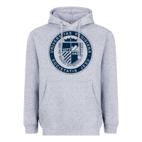 Heather Grey Regis University Heavyweight Hoodie - linhVisuals