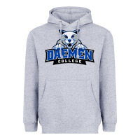 Heather Grey daemen college Heavyweight Hoodie - linhVisuals