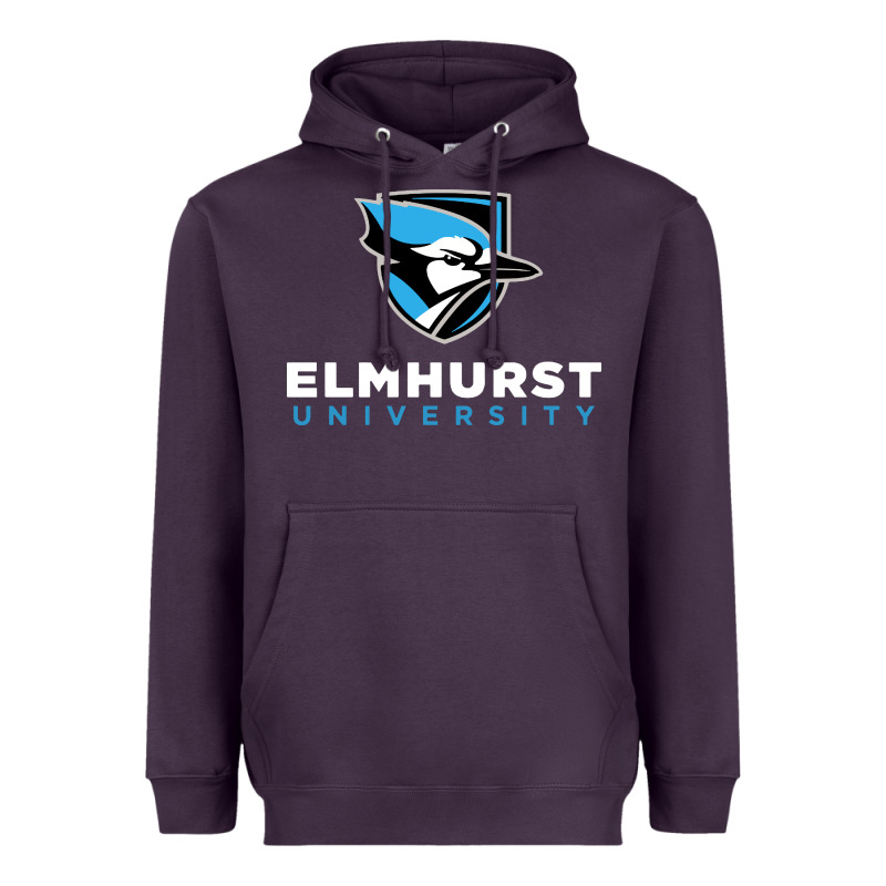 Elmhurst University Heavyweight Hoodie by linhVisuals | Teevron