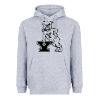 Heather Grey yale vintage Heavyweight Hoodie - linhVisuals