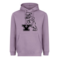 Lavender yale vintage Heavyweight Hoodie - linhVisuals