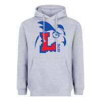 Heather Grey lada-togliatti-merch Heavyweight Hoodie - linhVisuals
