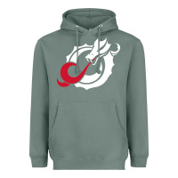 Sage MSUM Dragons, Gear Heavyweight Hoodie - linhVisuals
