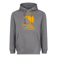 Storm nathaniel rateliff müsïc Heavyweight Hoodie - linhVisuals