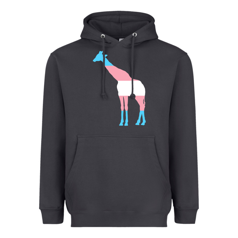 Transgender Flag Ftm Mtf Trans Pride Heavyweight Hoodie by linhVisuals | Teevron