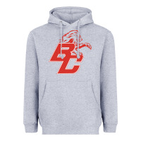 Heather Grey boyd county high school baseball Heavyweight Hoodie - linhVisuals