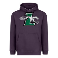 Loyola (md) Greyhounds Heavyweight Hoodie | Teevron