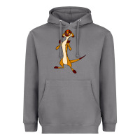 Storm Timon Funny Heavyweight Hoodie - linhVisuals