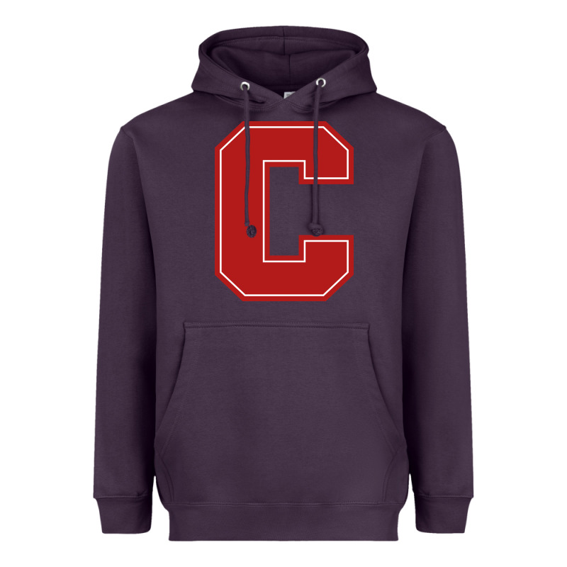 Cornell Big Red Heavyweight Hoodie by linhVisuals | Teevron