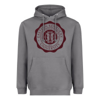 Storm eastern kentucky university Heavyweight Hoodie - linhVisuals