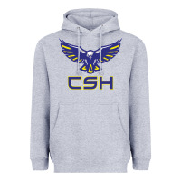 Heather Grey cold springs high school Heavyweight Hoodie - linhVisuals