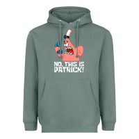 Sage no this is patrick Heavyweight Hoodie - linhVisuals