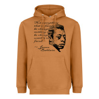 Meerkat james baldwin Heavyweight Hoodie - linhVisuals