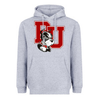 Heather Grey bu university terries champion Heavyweight Hoodie - linhVisuals