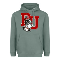 Bu University Terries Champion Heavyweight Hoodie | Teevron
