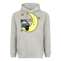 Moon Dust crescent moon raccoon Heavyweight Hoodie - linhVisuals