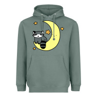 Sage crescent moon raccoon Heavyweight Hoodie - linhVisuals