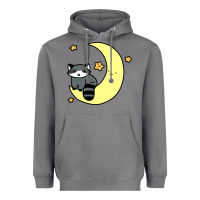 Storm crescent moon raccoon Heavyweight Hoodie - linhVisuals
