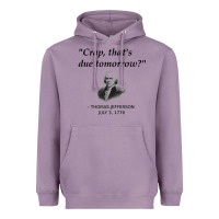 Funny Thomas Jefferson Usa History Teacher Student Gift T Shirt Heavyweight Hoodie | Teevron