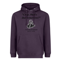 Plum funny thomas jefferson usa history teacher student gift t shirt Heavyweight Hoodie - linhVisuals