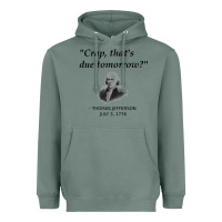 Sage funny thomas jefferson usa history teacher student gift t shirt Heavyweight Hoodie - linhVisuals