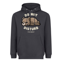 Do Not Disturb I'm Busy Funny Lazy Gift Heavyweight Hoodie | Teevron