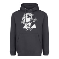 Smoke beethoven Heavyweight Hoodie - linhVisuals