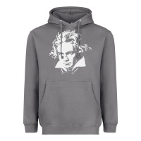 Storm beethoven Heavyweight Hoodie - linhVisuals
