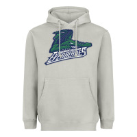 Moon Dust florida everblades Heavyweight Hoodie - linhVisuals