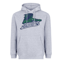 Florida Everblades Heavyweight Hoodie | Teevron
