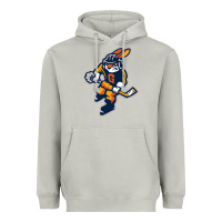 Moon Dust greenville swamp rabbits Heavyweight Hoodie - linhVisuals