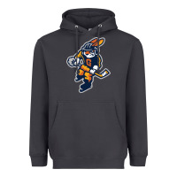 Smoke greenville swamp rabbits Heavyweight Hoodie - linhVisuals