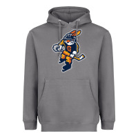 Storm greenville swamp rabbits Heavyweight Hoodie - linhVisuals