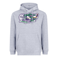 Heather Grey florida everblades Heavyweight Hoodie - linhVisuals