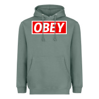 Sage obey Heavyweight Hoodie - linhVisuals
