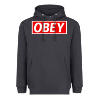 Smoke obey Heavyweight Hoodie - linhVisuals