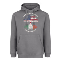 Storm american grown italian roots usa italy flag tree Heavyweight Hoodie - linhVisuals
