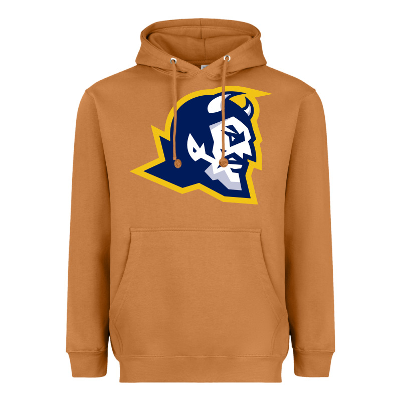 Mt Lebanon High School Heavyweight Hoodie by linhVisuals | Teevron