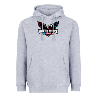 Heather Grey team america Heavyweight Hoodie - linhVisuals