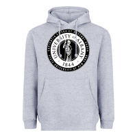 Heather Grey University Albany Suny Heavyweight Hoodie - linhVisuals
