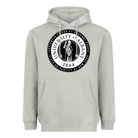 Moon Dust University Albany Suny Heavyweight Hoodie - linhVisuals