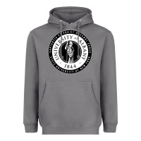 Storm University Albany Suny Heavyweight Hoodie - linhVisuals
