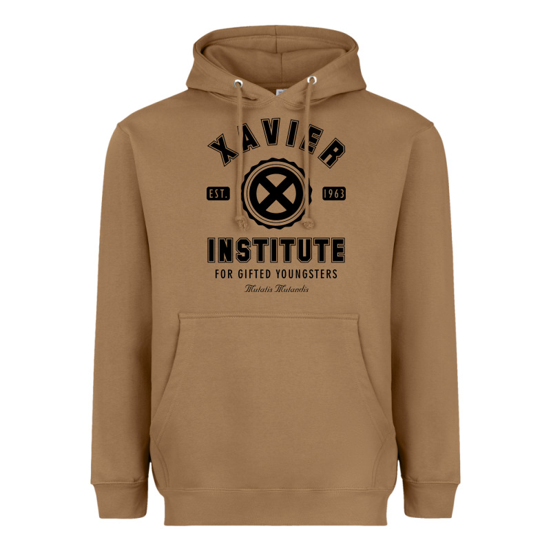 Xavier Institute Heavyweight Hoodie by linhVisuals | Teevron