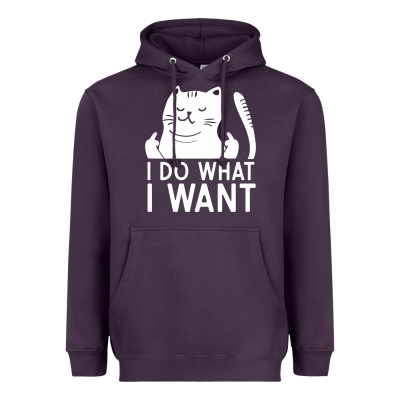 I Do What I Want Cat Giving A Finger Funny Middle Finger Rude Graphic Heavyweight Hoodie by linhVisuals | Teevron